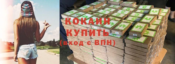 мяу мяу мука Рославль