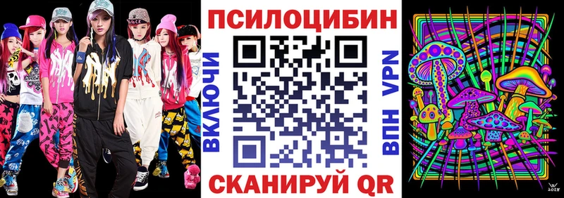 дарнет шоп  Венёв  Галлюциногенные грибы мицелий 