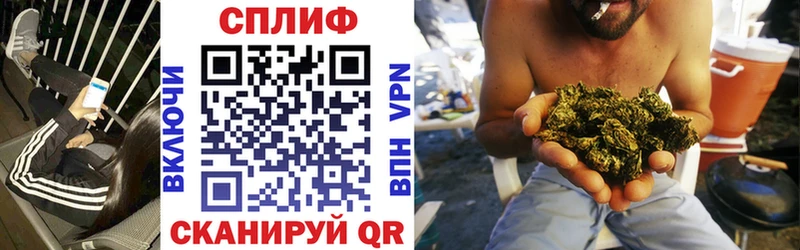 Каннабис индика  Венёв 
